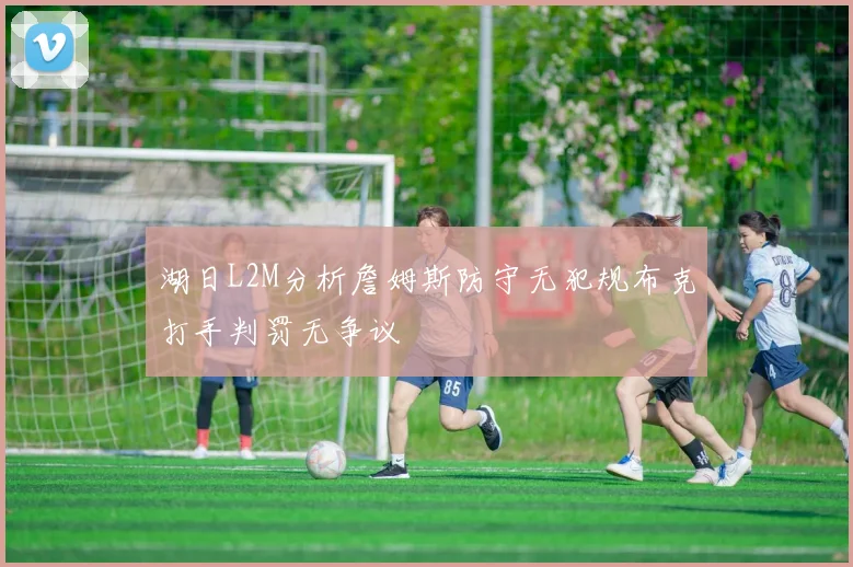 湖日L2M分析詹姆斯防守无犯规布克打手判罚无争议