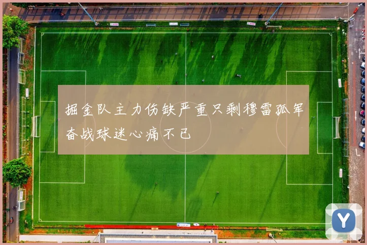 掘金队主力伤缺严重只剩穆雷孤军奋战球迷心痛不已